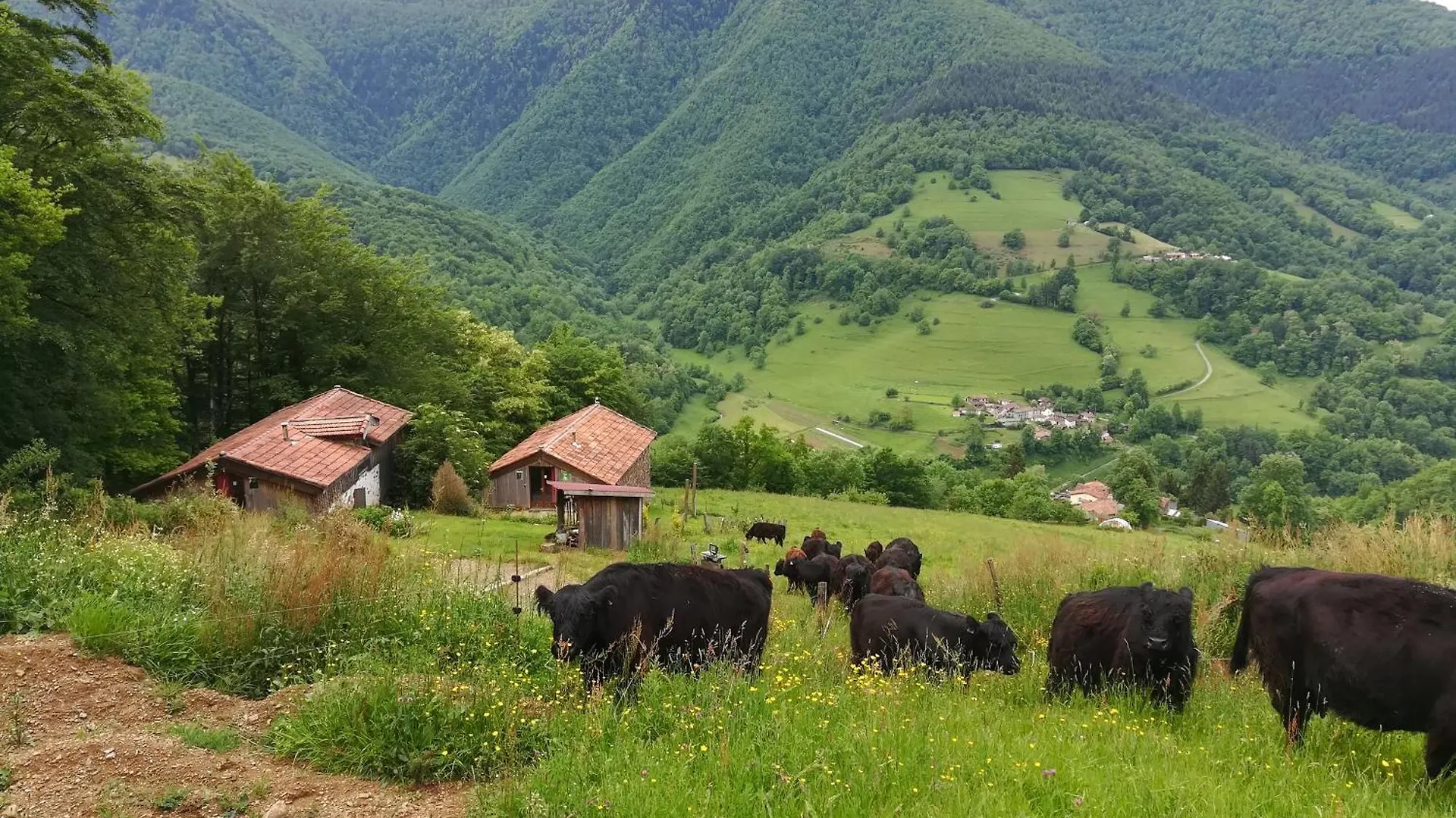 Gite Du Pic Noir Rivèrenert